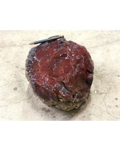 Fossilized (petrified) wood; Garut, Java, Indonesia; 22 kg; unique piece
