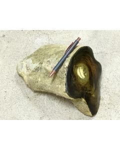 Fossiles (versteinertes) Holz; Garut, Java, Indonesien; 5 kg; Einzelst&uuml;ck