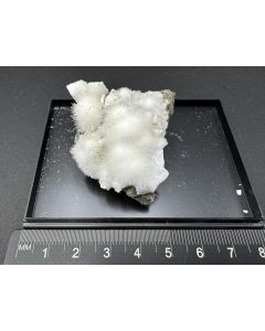 Natrolith xx; Roth, Westerwald, Deutschland; Gerd Tremmel Sammlung; KS; Einzelst&uuml;ck