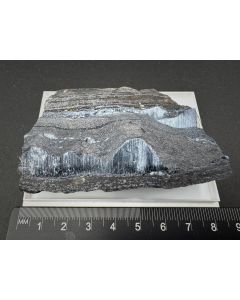 Krokydolith xx; Wittenoom, W-Australien, Australien; Gerd Tremmel Sammlung; NS; Einzelstück