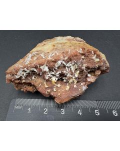 Hemimorphit xx; Grube Anton, Wieden, Schwarzwald, Deutschland; Gerd Tremmel Sammlung; KS; Einzelstück