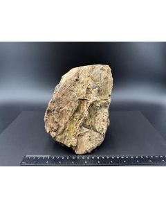 Bernstein; Sumatra, Indonesien; 1,5 kg; Einzelst&uuml;ck