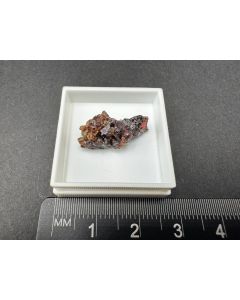 Siderit xx; Tsumeb Mine, Otaviberge, Namibia; Ilse Baer Sammlung; MM; Einzelstück