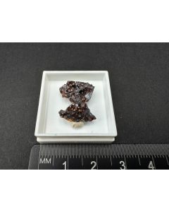 Siderit xx; Tsumeb Mine, Otaviberge, Namibia; Ilse Baer Sammlung; MM; Einzelstück