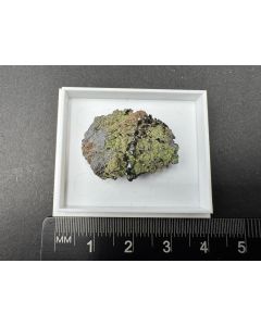 Olivenit xx; Tsumeb Mine, Otaviberge, Namibia; Ilse Baer Sammlung; MM: Einzelstück