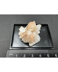 Cerussit "Stern" xx; Tsumeb Mine, Otaviberge, Namibia; Ilse Baer Sammlung; KS; Einzelstück