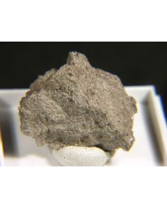 FLUORO-EDENIT (TL). Lacave Steinbruch, Ätna Vulkan, Sizilien, Italien