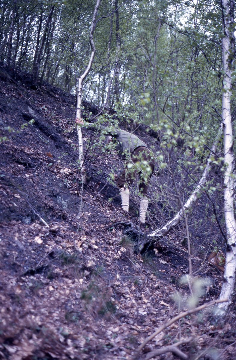 Belgien: Salm Chateau an den Halden hinter dem Freidhof.