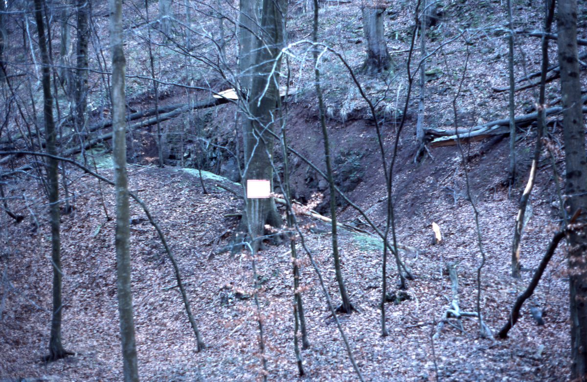 Deutschland: Manganit Fundstelle am Braunsteinhaus