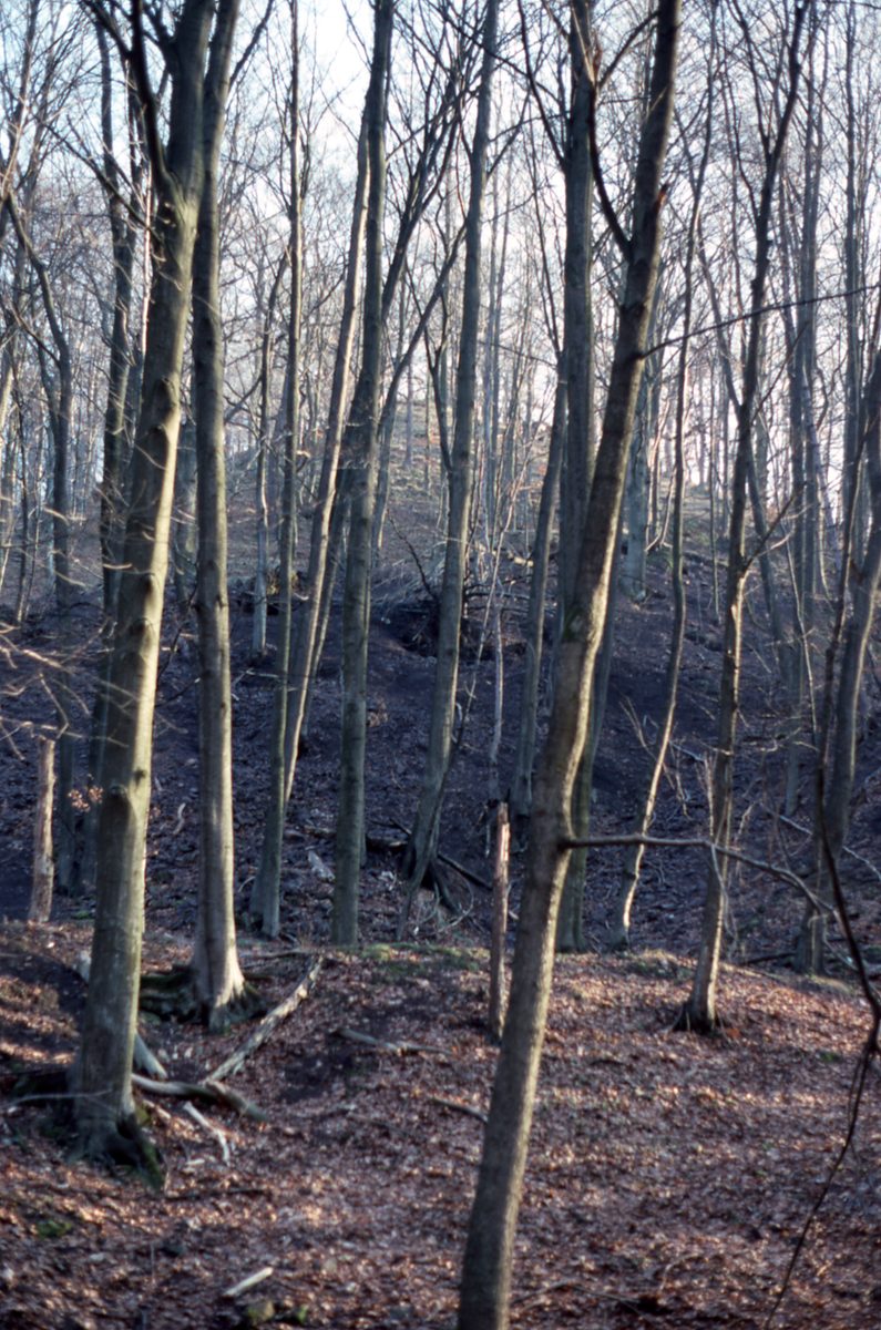 Deutschland: Manganit Fundstelle am Braunsteinhaus