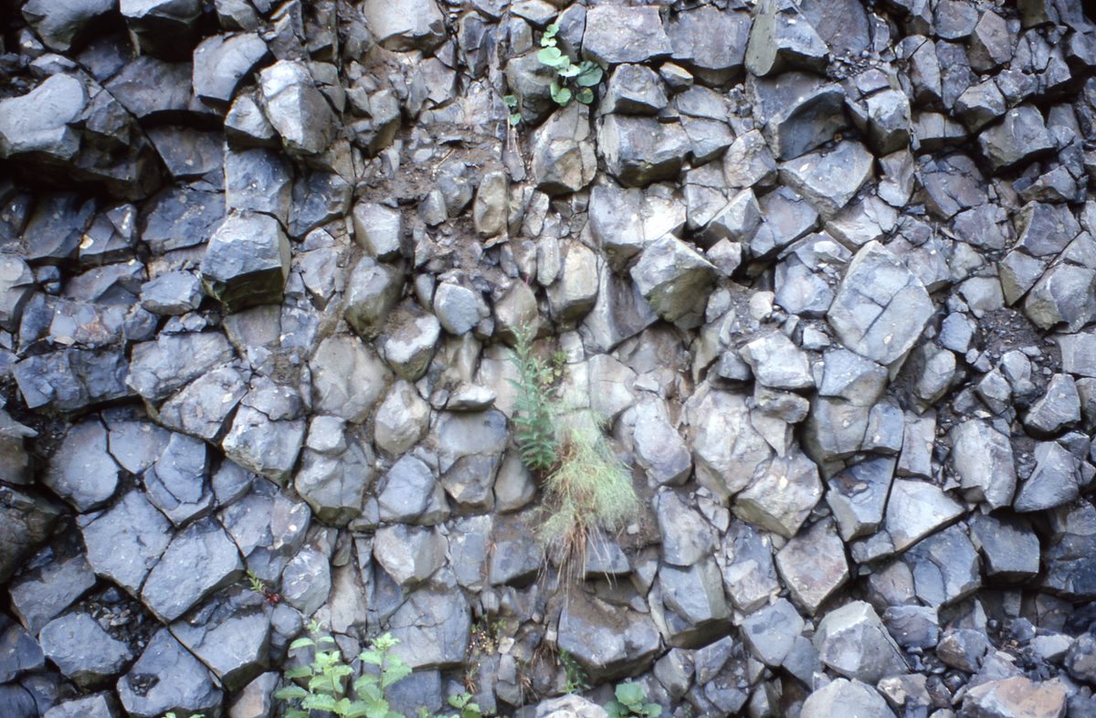 Deutschland: Säulenbasalt am Hohen Hagen bei Göttingen.