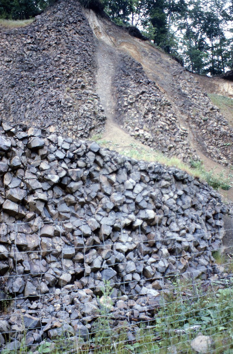 Deutschland: Säulenbasalt am Hohen Hagen bei Göttingen.