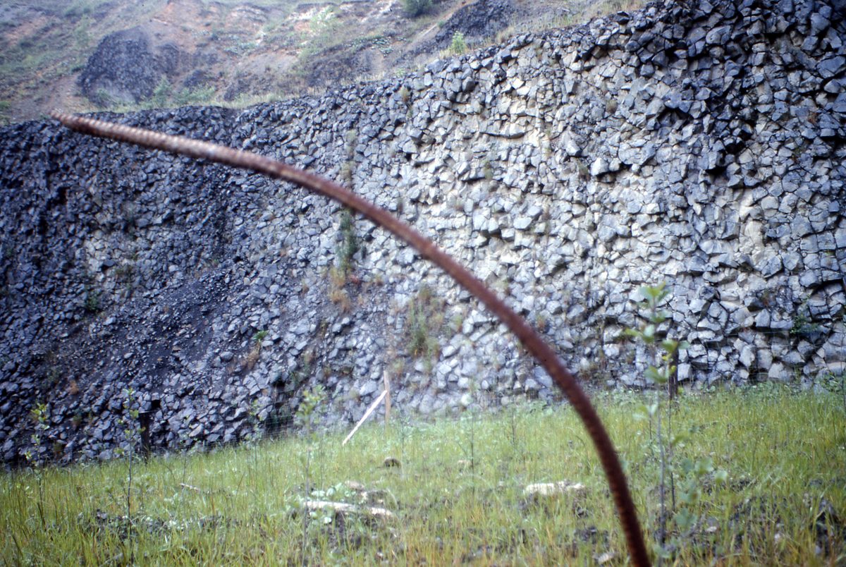 Deutschland: Säulenbasalt am Hohen Hagen bei Göttingen.