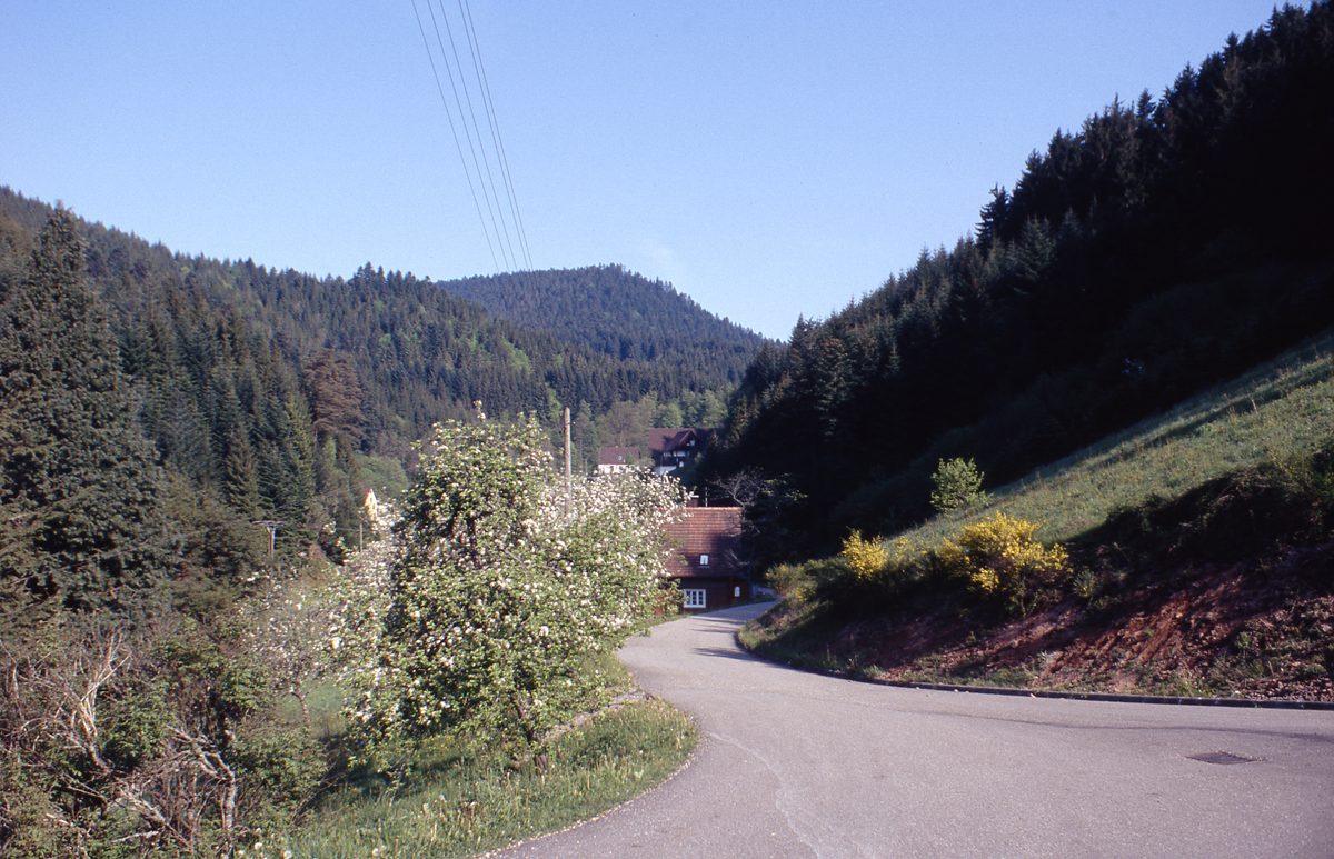 Deutschland: Tour in den Schwarzwald zur Schmiedestollenhalde 1987