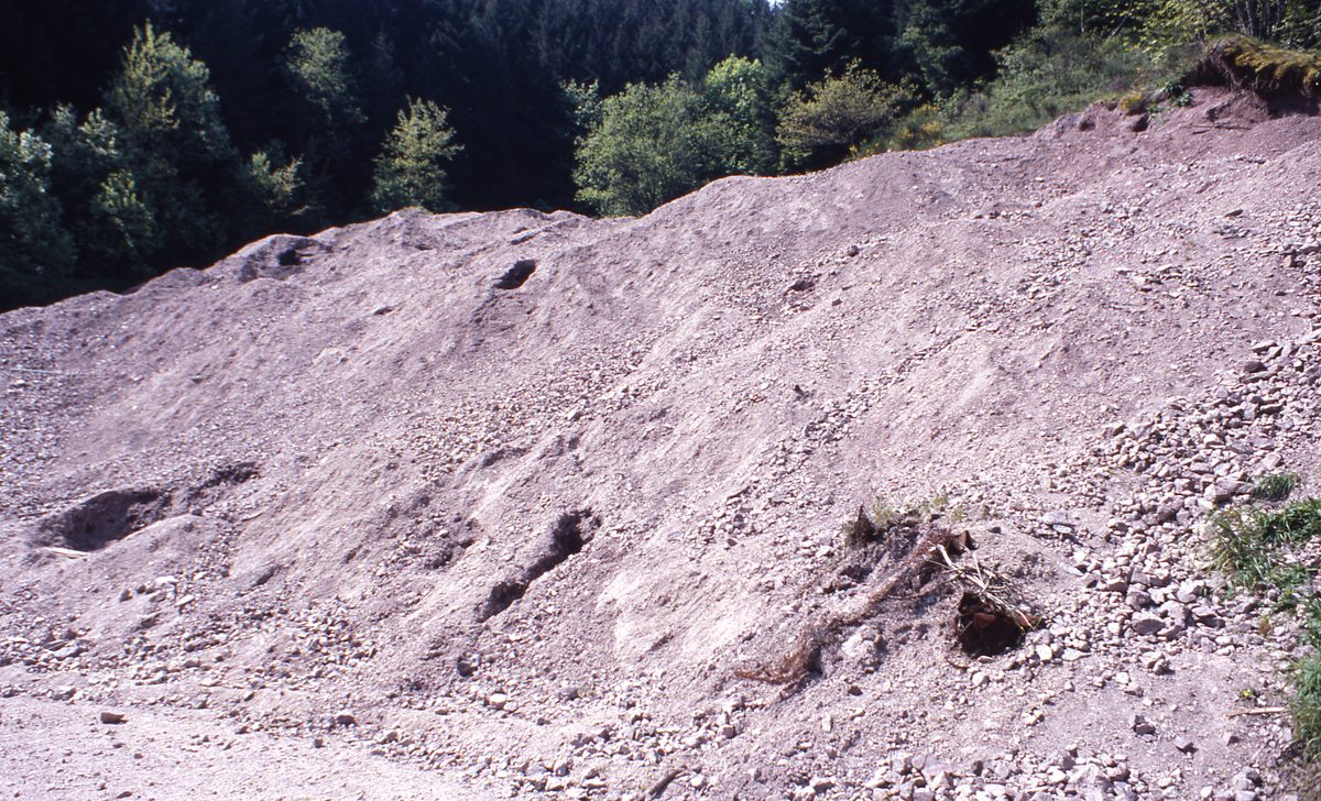 Deutschland: Tour in den Schwarzwald zur Schmiedestollenhalde 1987