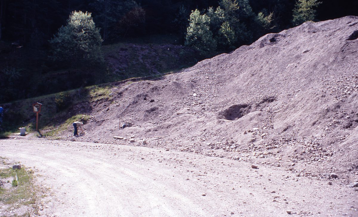Deutschland: Tour in den Schwarzwald zur Schmiedestollenhalde 1987