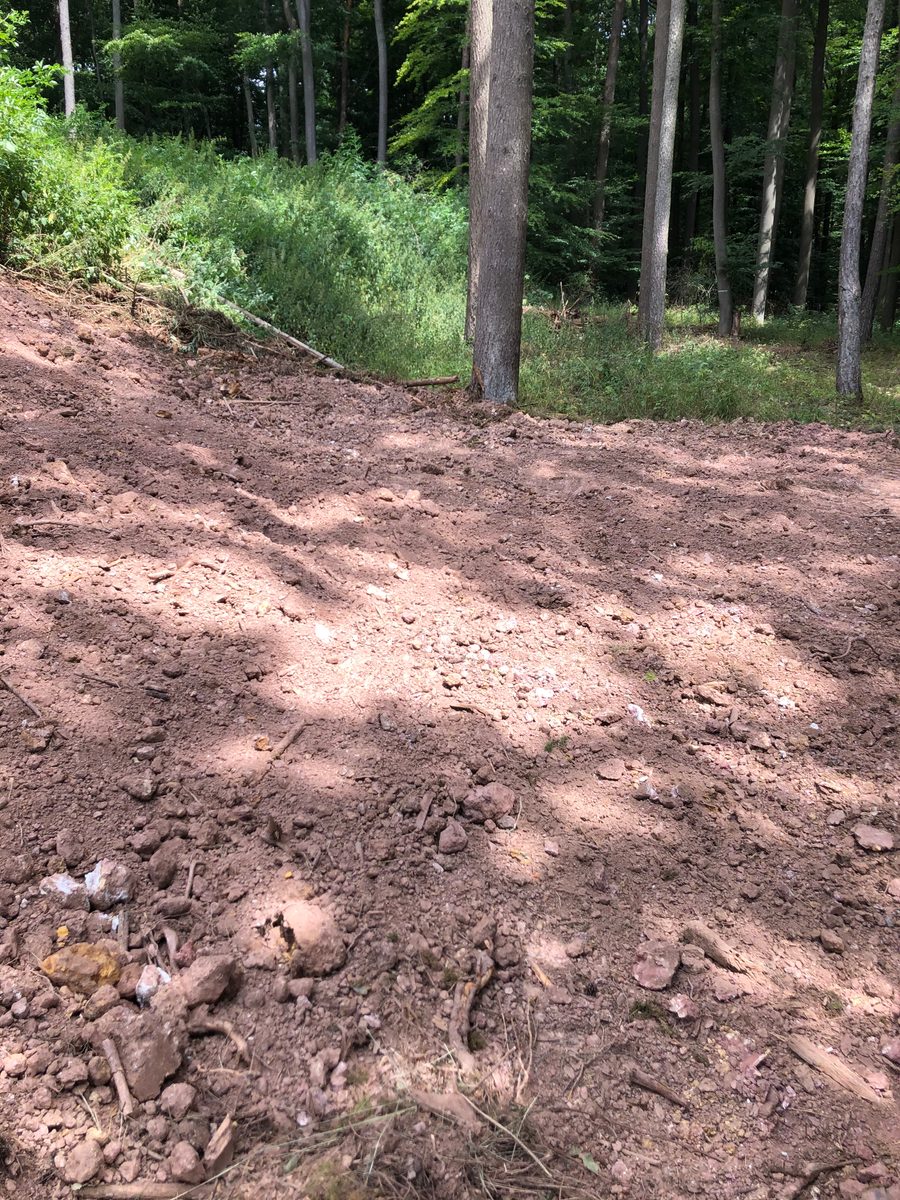 Deutschland: Gremmelsbach, Schwarzwald: Fundstelle für Pyrolusit