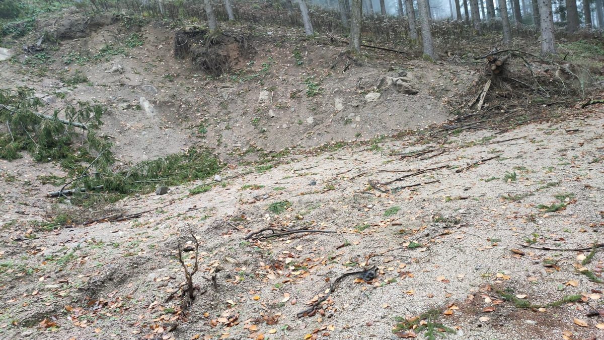 Deutschland: Gremmelsbach, Schwarzwald: Fundstelle für Pyrolusit