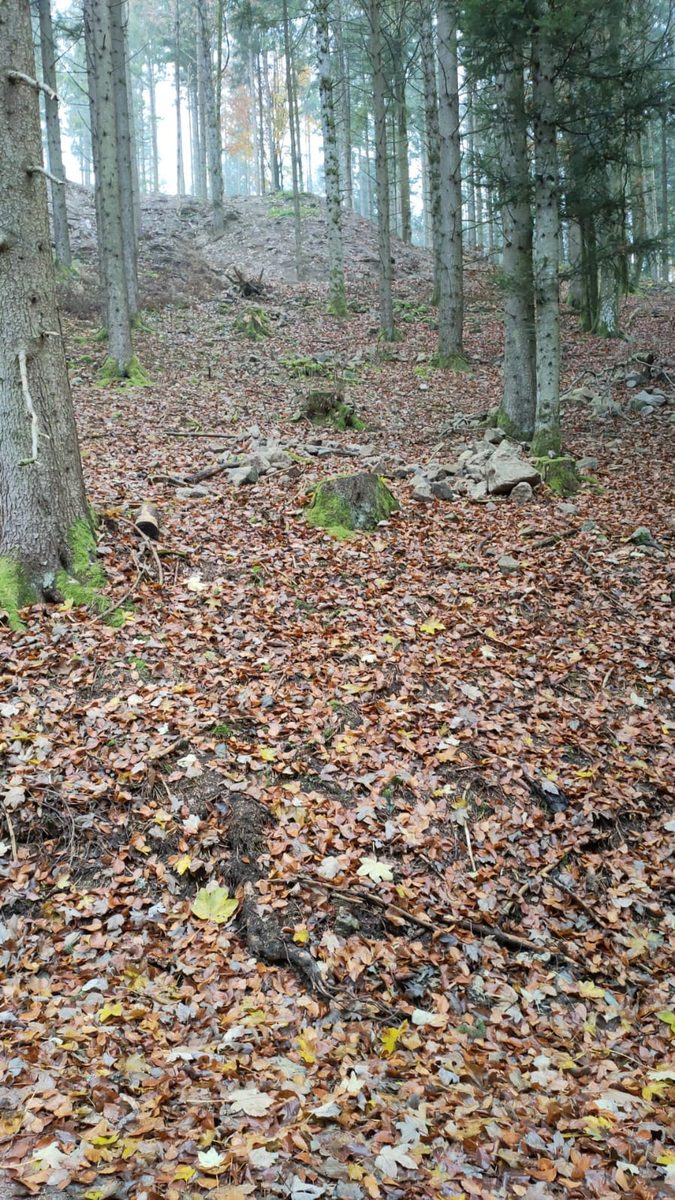 Deutschland: Gremmelsbach, Schwarzwald: Fundstelle für Pyrolusit