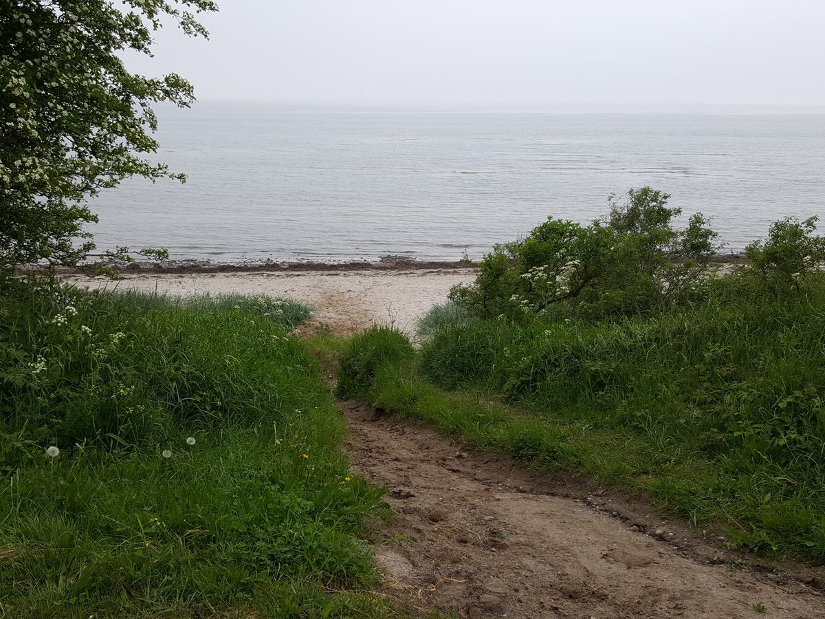 Deutschland: Insel Poel, Mecklenburg-Vorpommern (Ostsee): Feuersteine!