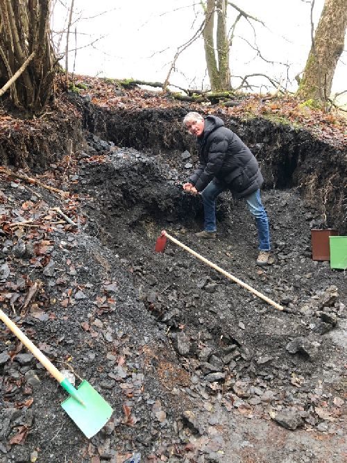 Deutschland: Grube Pfaffenberg, Neudorf, Harz: Federpyrit auf der Halde