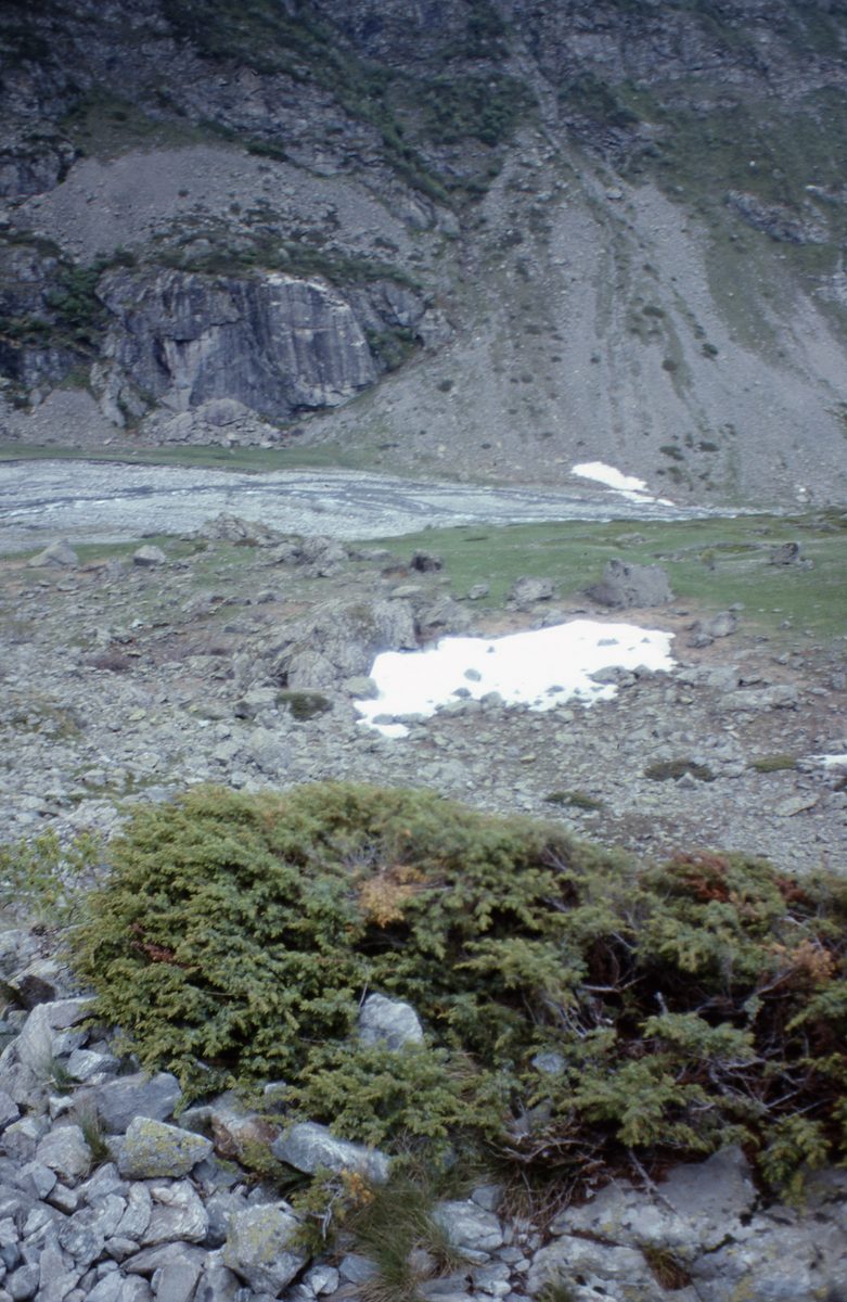 Frankreich: Jas Roux, Hautes Alpes