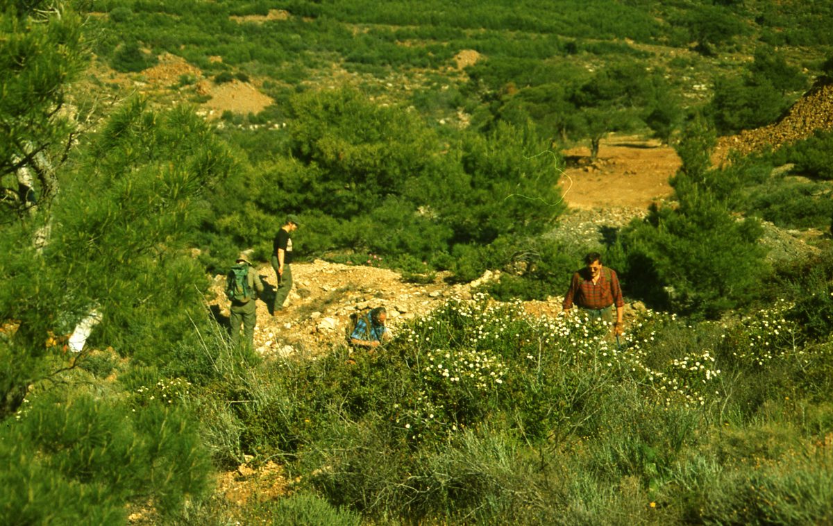 Griechenland: Außenaufnahmen der Gegend von Apo Sounio, also die Gegend oberhalb des Kap Sounion.
