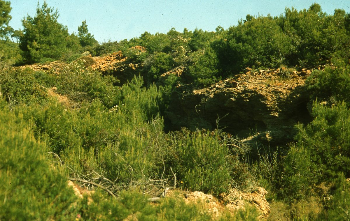 Griechenland: Außenaufnahmen der Gegend von Apo Sounio, also die Gegend oberhalb des Kap Sounion.