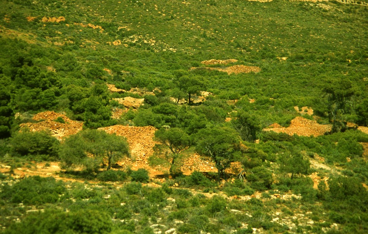 Griechenland: Außenaufnahmen der Gegend von Apo Sounio, also die Gegend oberhalb des Kap Sounion.