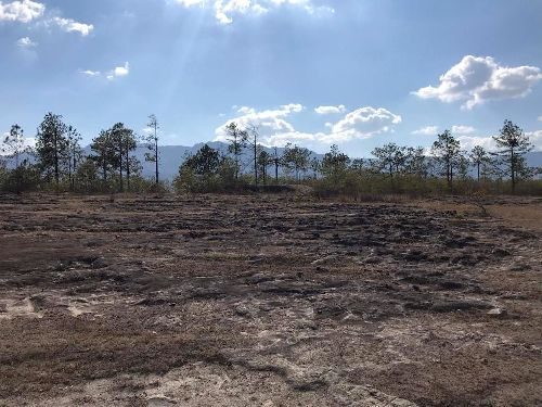 Honduras: Auf der Suche nach den herrlichen Edelopalen in Erandique, Honduras