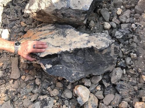 Honduras: Auf der Suche nach den herrlichen Edelopalen in Erandique, Honduras