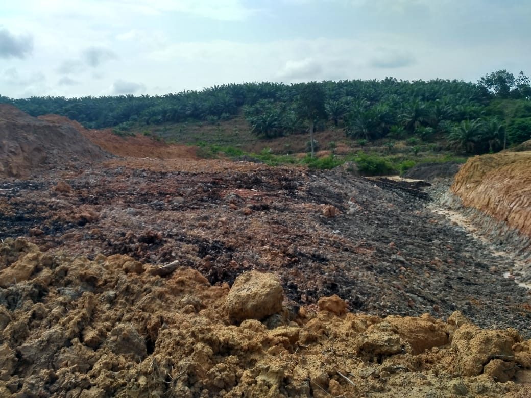 Indonesien: Braunkohletagebaue im Süden Sumatras, hier kommt der Bernstein her.