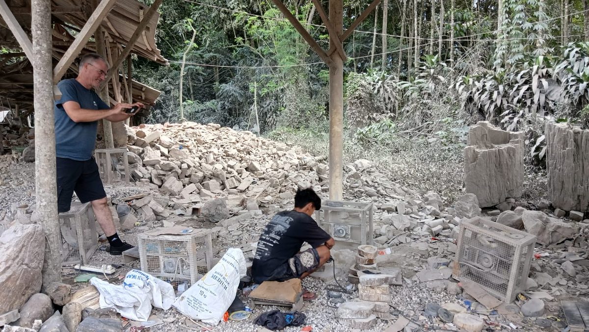 Indonesien: Fossiles Holz, samt Verarbeitung