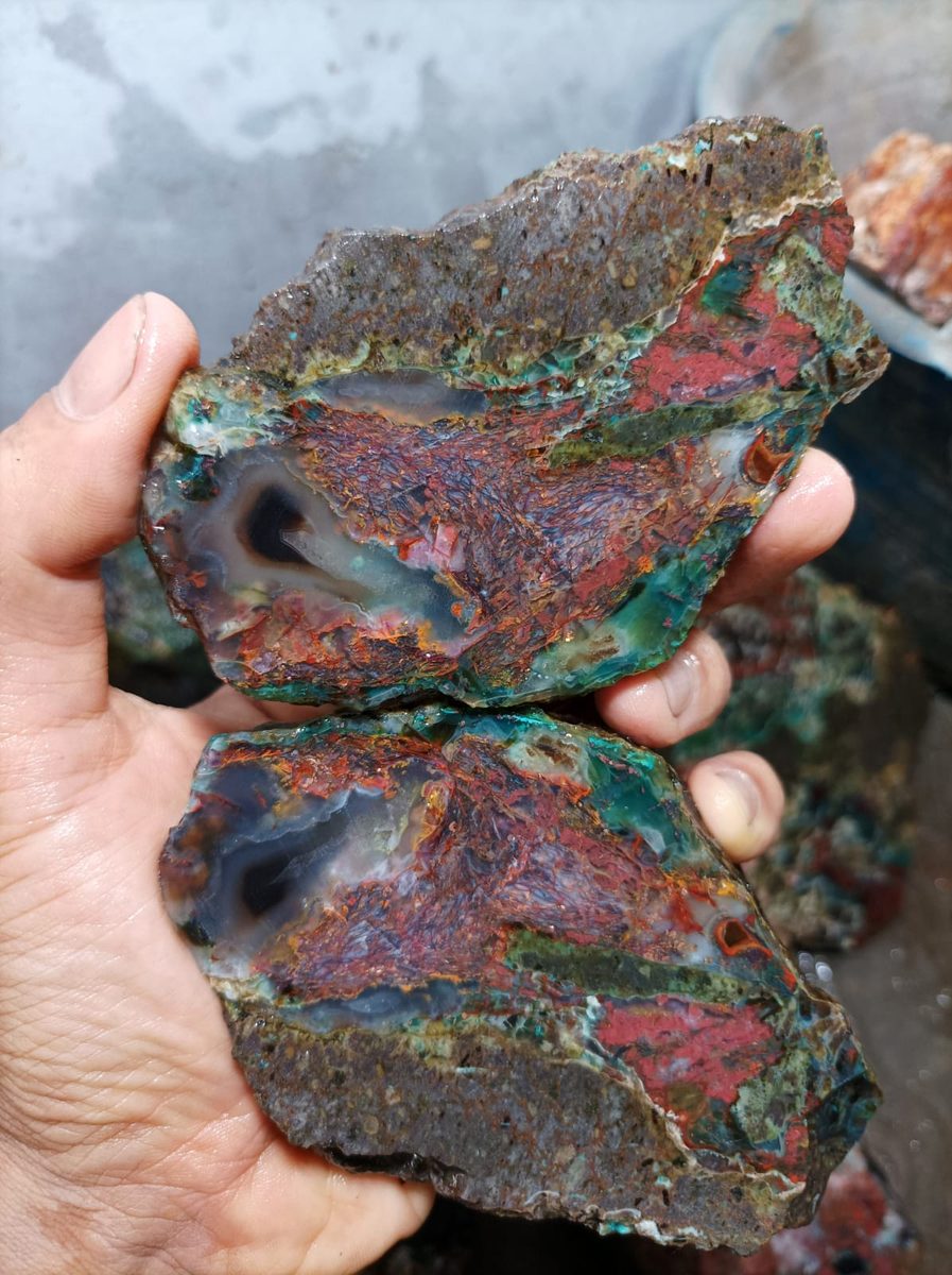 Indonesien: Ged. Kupfer, Cuprit und Chrysokoll in versteinertem Holz aus Garut, Java