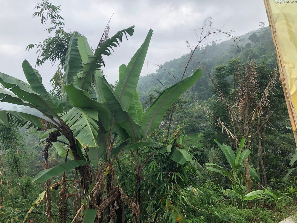 Indonesien: Landschaft in Sulawesi