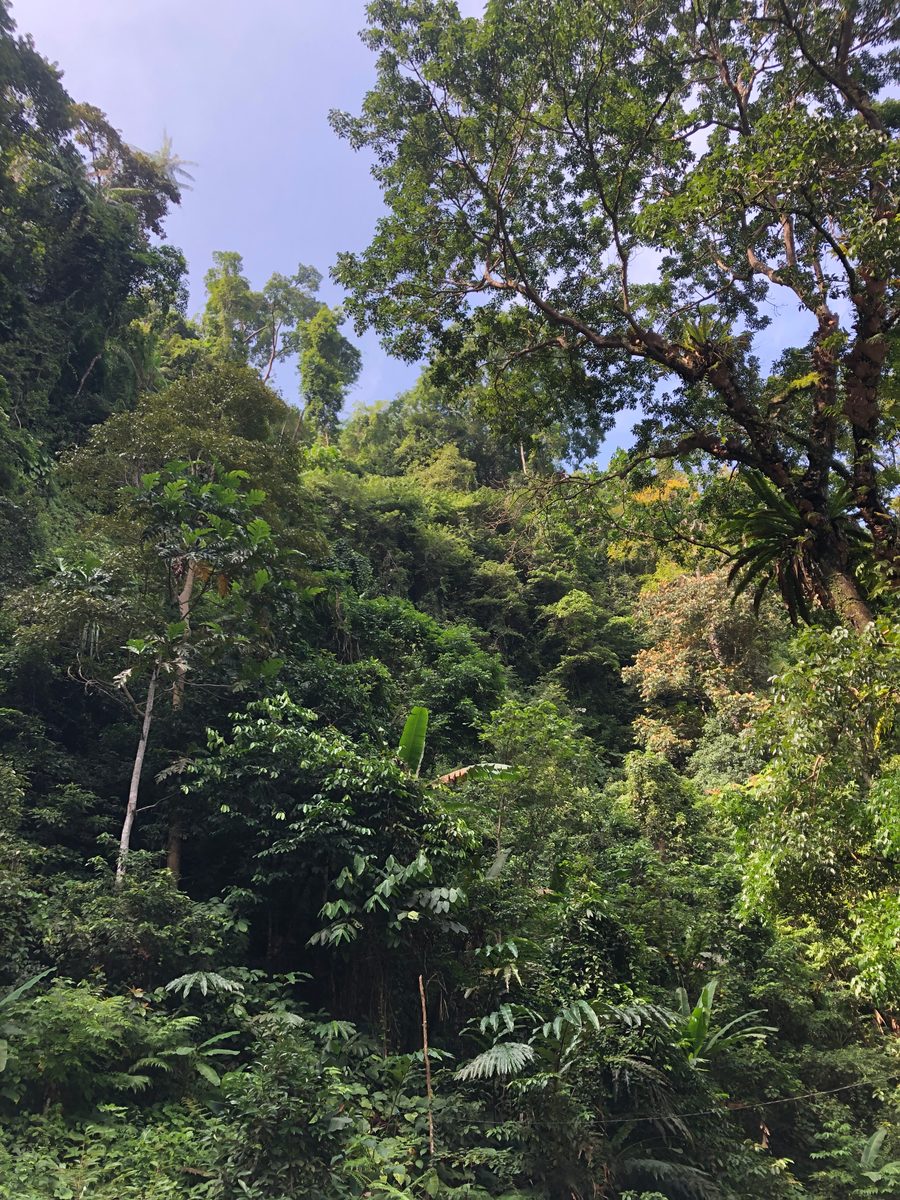 Indonesien: Landschaft in Sulawesi
