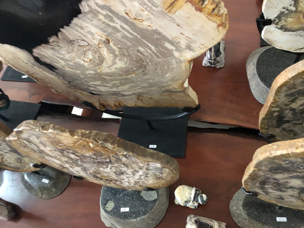 Indonesien: Fossiles Holz, samt Verarbeitung
