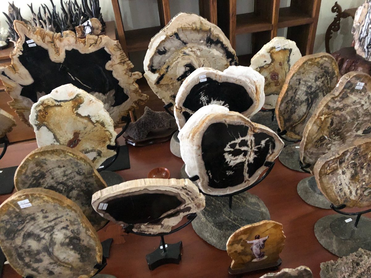 Indonesien: Fossiles Holz, samt Verarbeitung