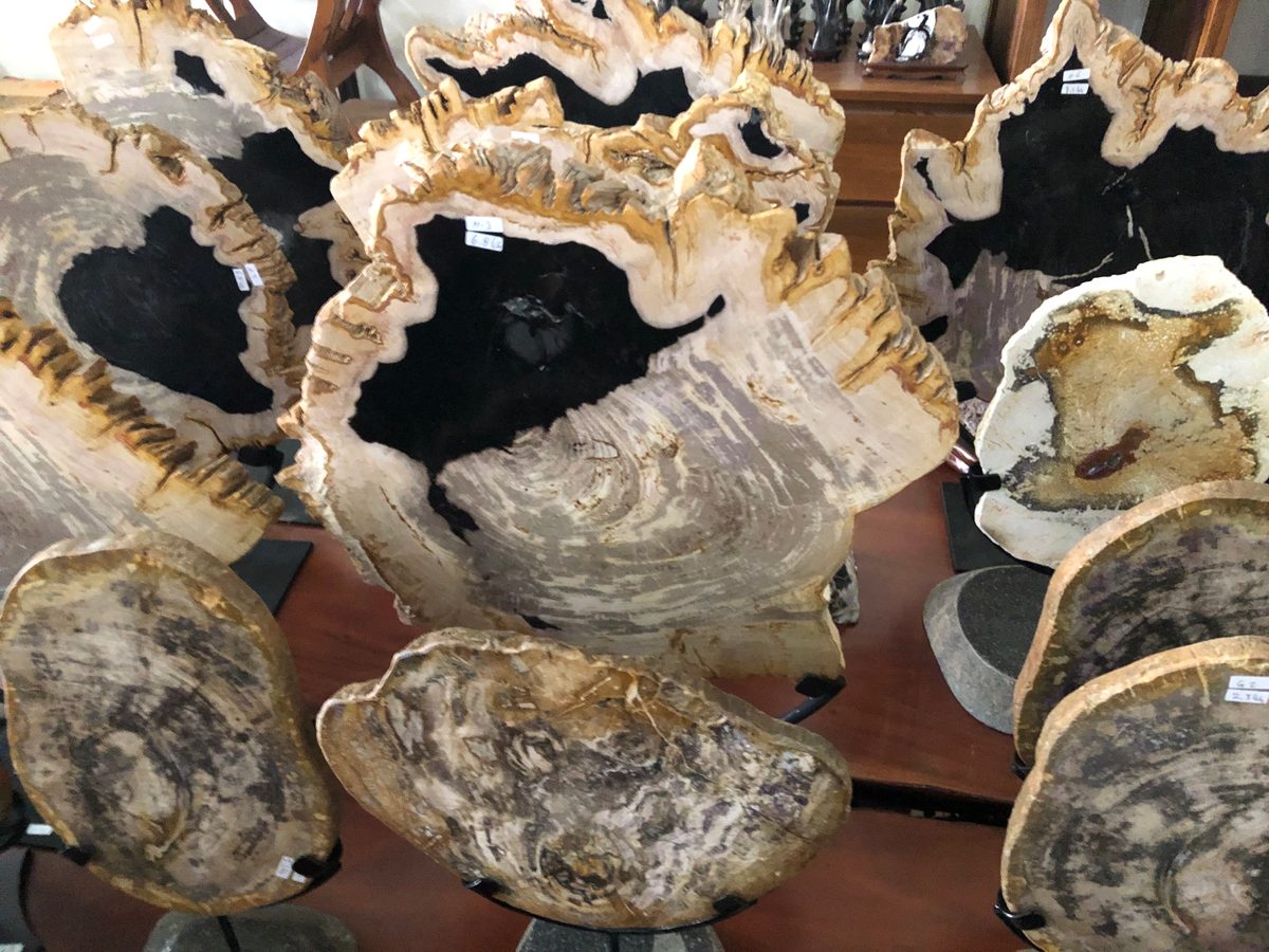 Indonesien: Fossiles Holz, samt Verarbeitung