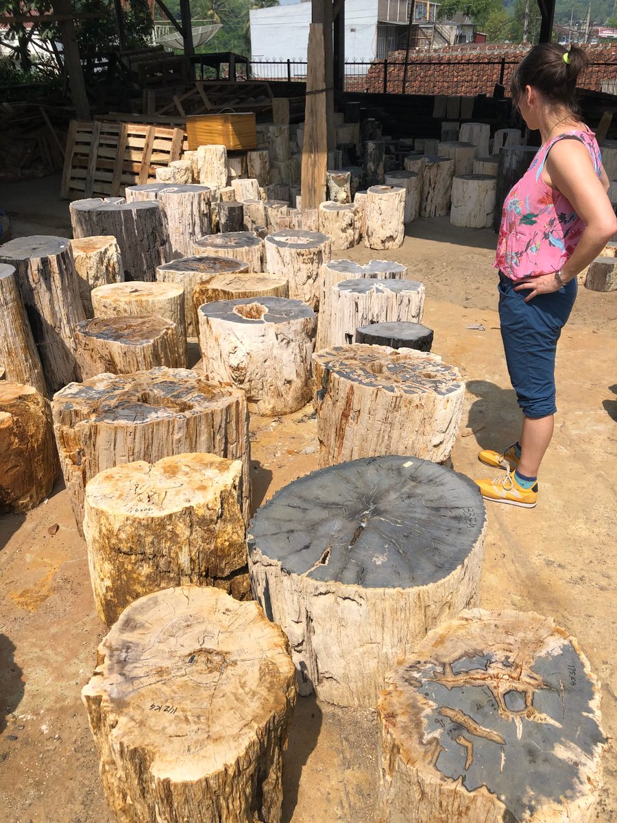 Indonesien: Fossiles Holz, samt Verarbeitung
