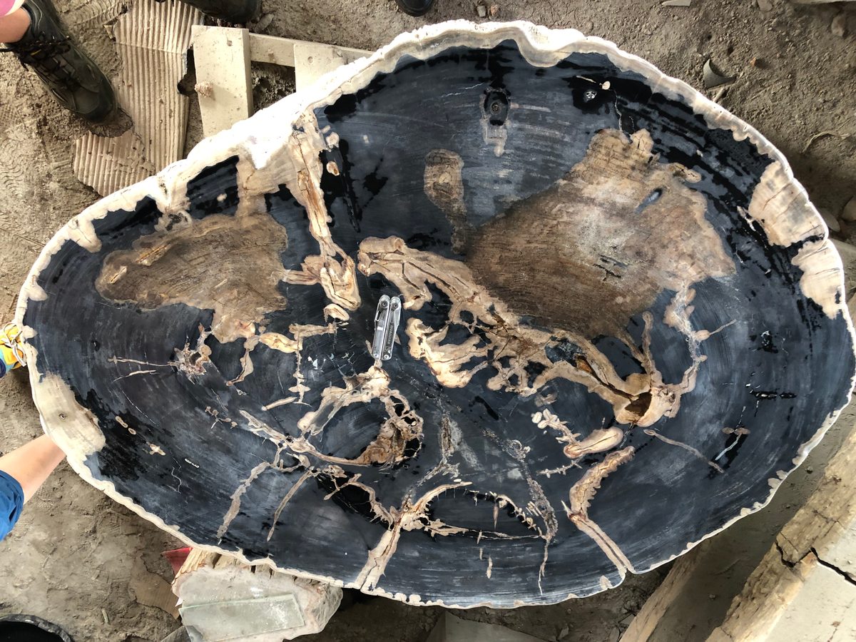 Indonesien: Fossiles Holz, samt Verarbeitung