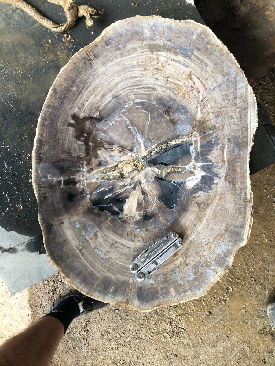 Indonesien: Fossiles Holz, samt Verarbeitung