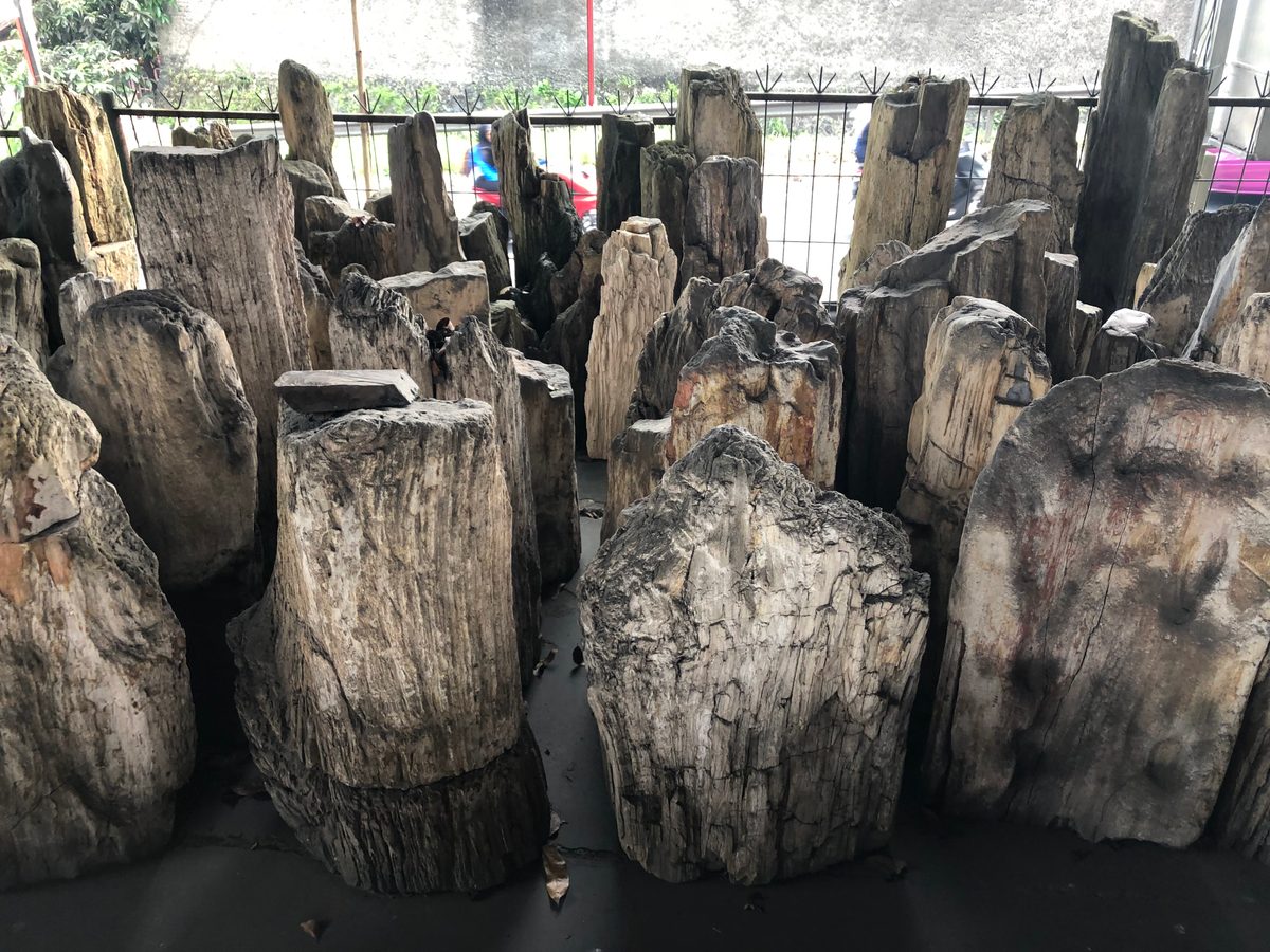 Indonesien: Fossiles Holz, samt Verarbeitung