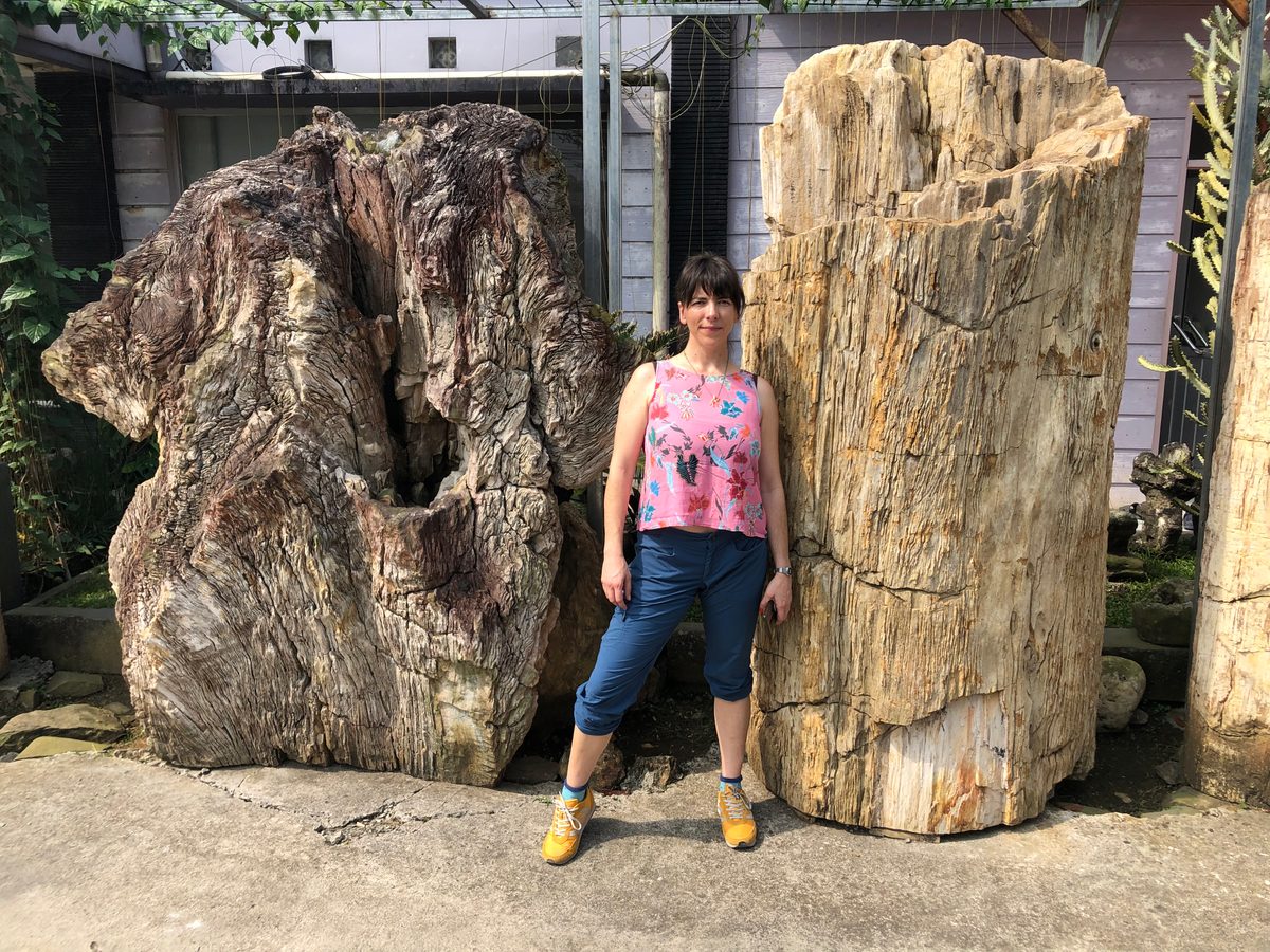 Indonesien: Fossiles Holz, samt Verarbeitung