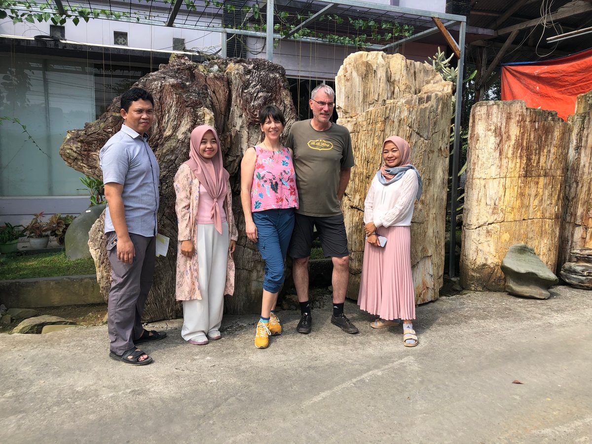 Indonesien: Fossiles Holz, samt Verarbeitung