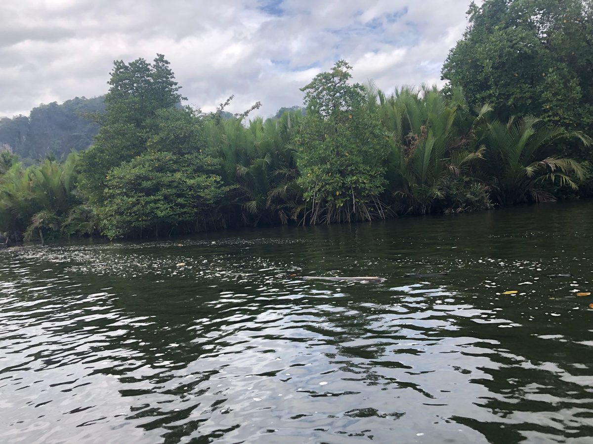 Indonesien: Ausflug in einen Nationalpark im Süden Sulawesis
