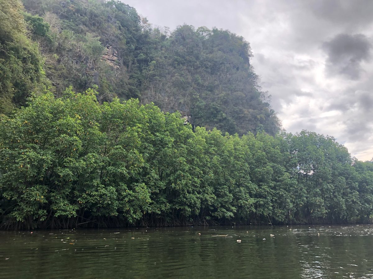 Indonesien: Ausflug in einen Nationalpark im Süden Sulawesis
