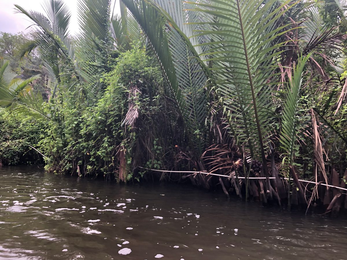 Indonesien: Ausflug in einen Nationalpark im Süden Sulawesis