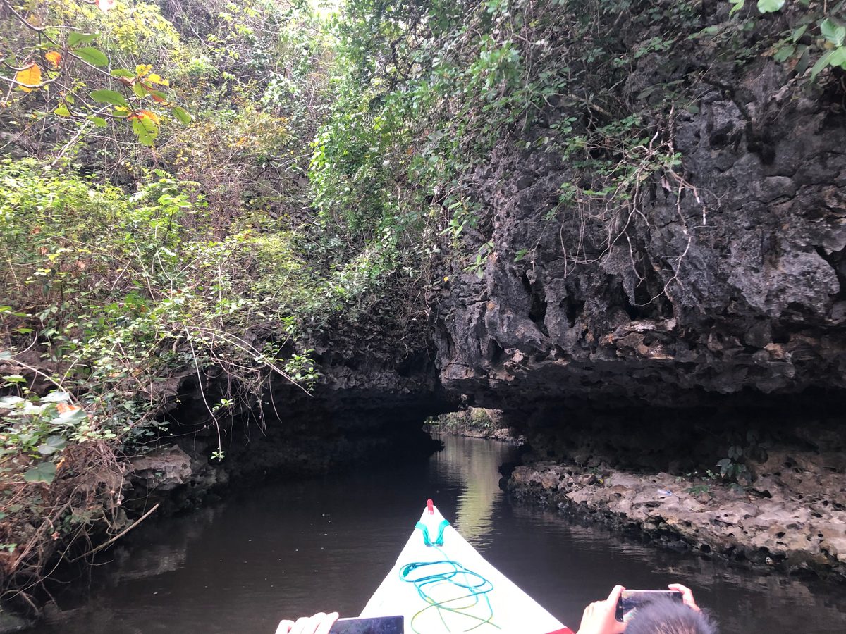 Indonesien: Ausflug in einen Nationalpark im Süden Sulawesis