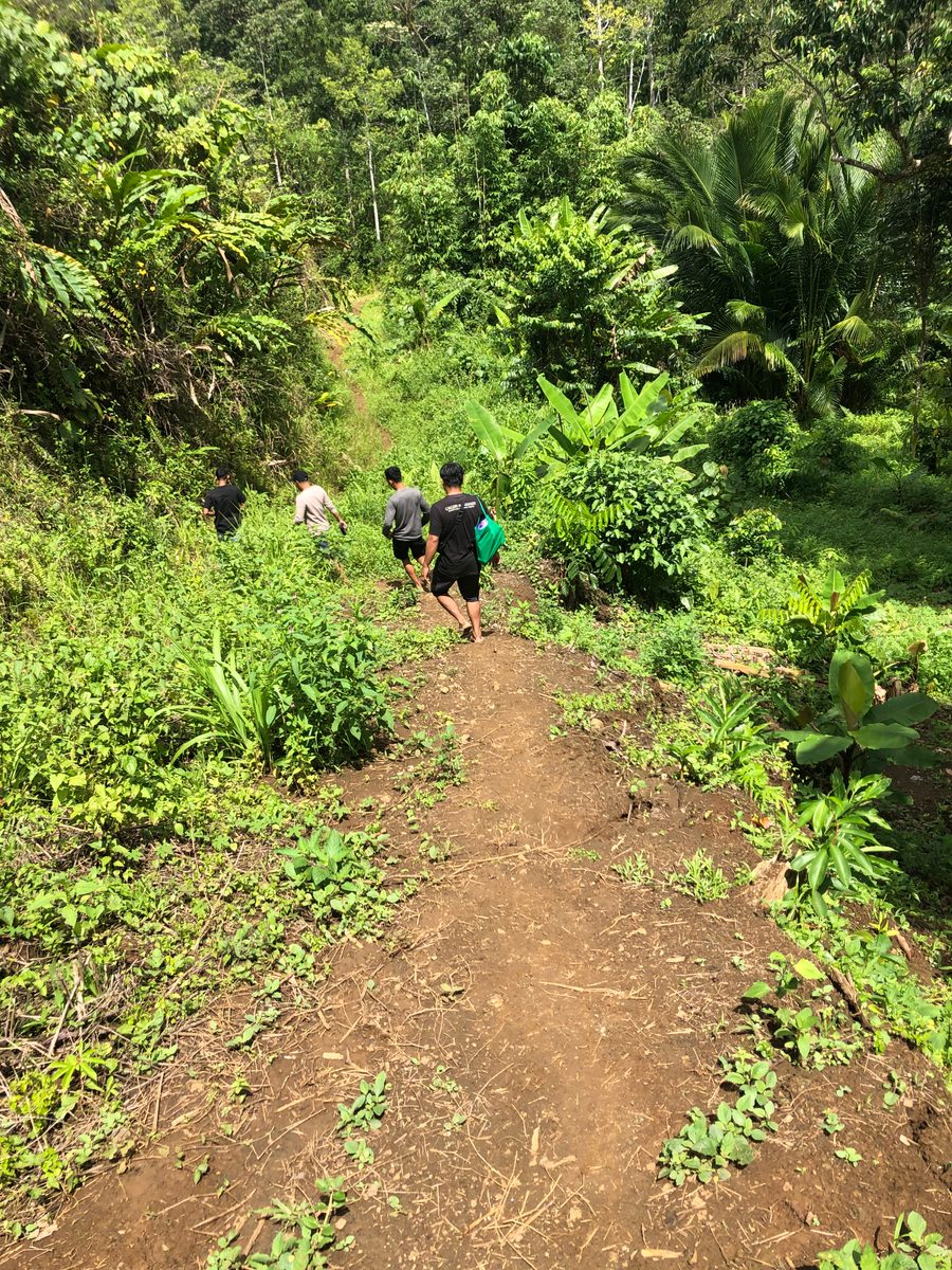 Indonesien: Abenteuer Traubenachat